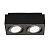 Потолочный светильник Zumaline BOXY CL 2 20075-BK