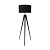 Торшер Zumaline MARESCA TS-170429F-BK